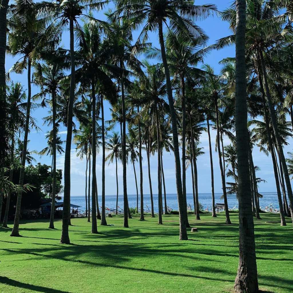 breezy vibes of virgin beach bali