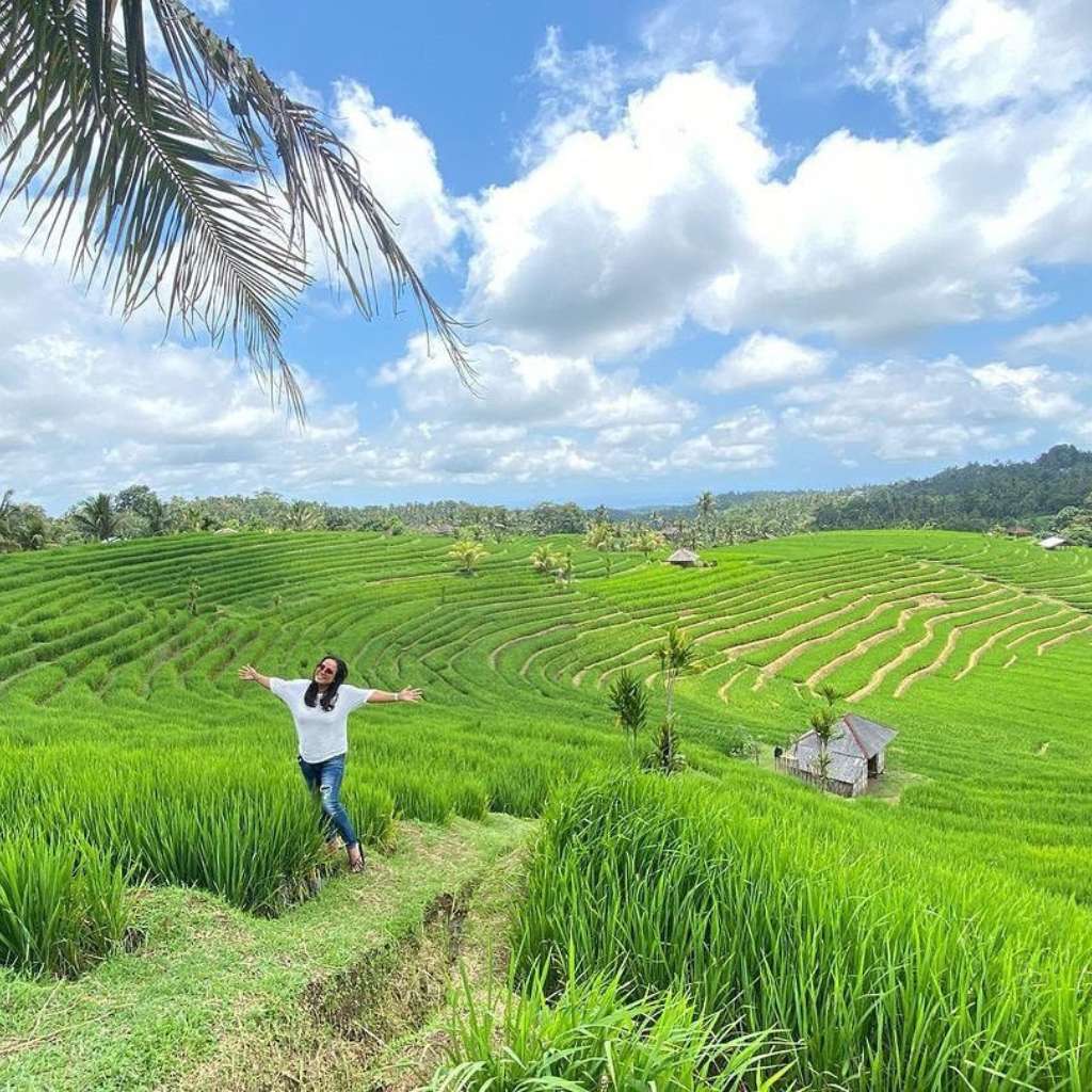 a beautiful belimbing rice terrace in Tabanan Bali