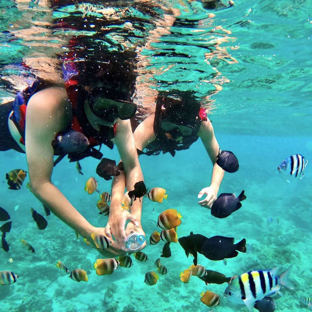 best spot for bali snorkeling