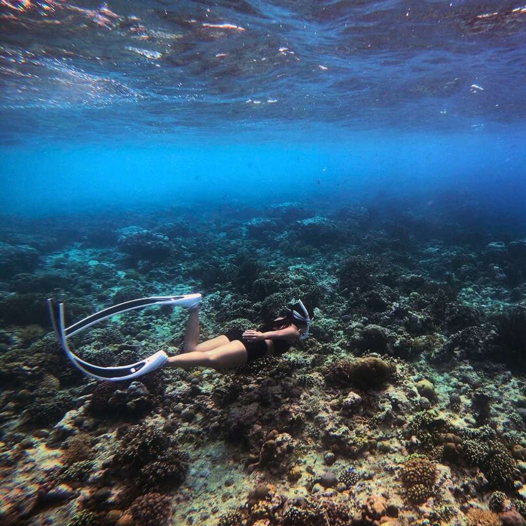 menjangan island is one of best spot for bali snorkeling