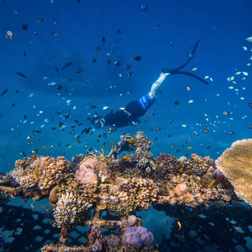 pemuteran is the best snorkeling spot in Bali