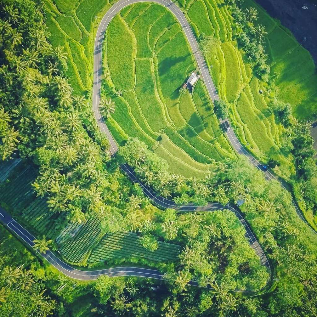 Rendang rice terrace eyebird view