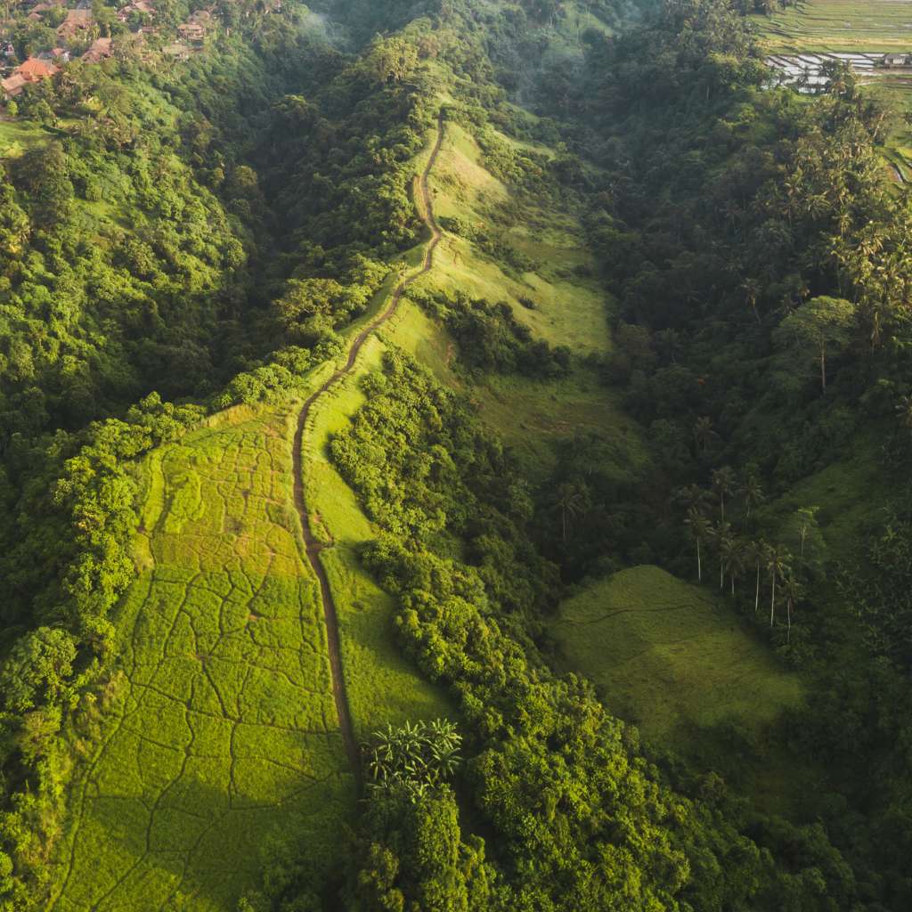 explore campuhan ridge walk