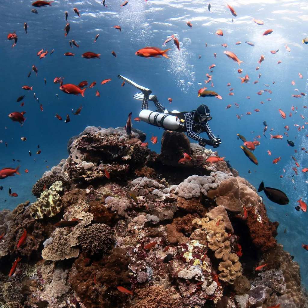 diving at crystal bay nusa penida