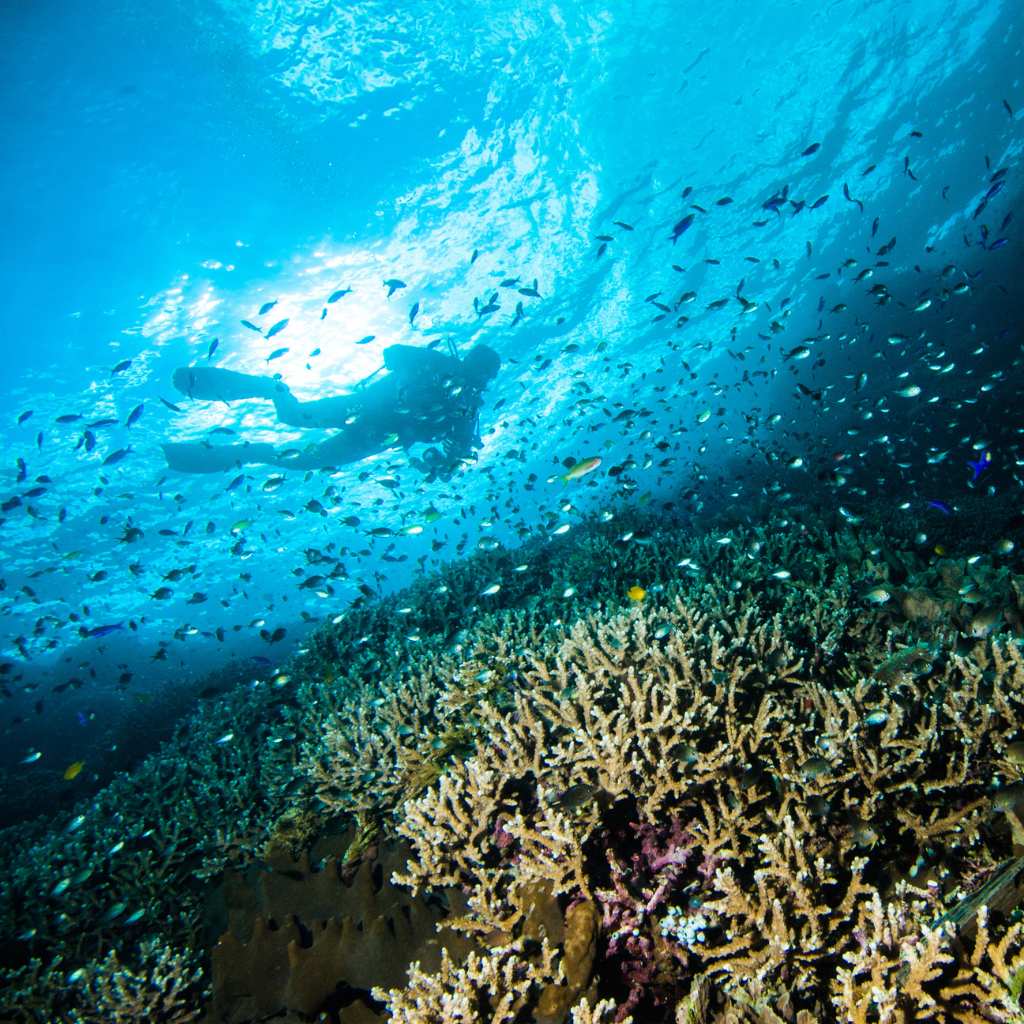 diving place in bali