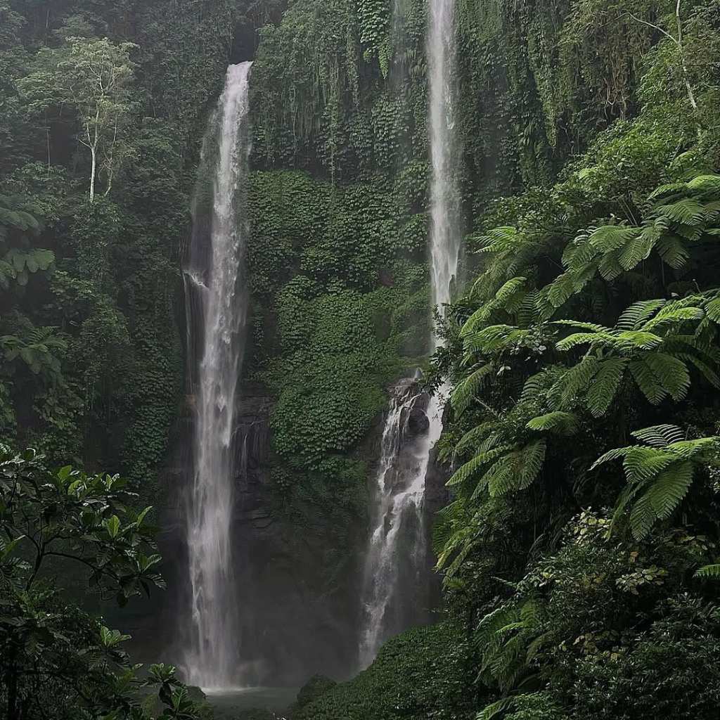 sekumpul waterfall