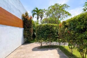villa pini kedungu 6