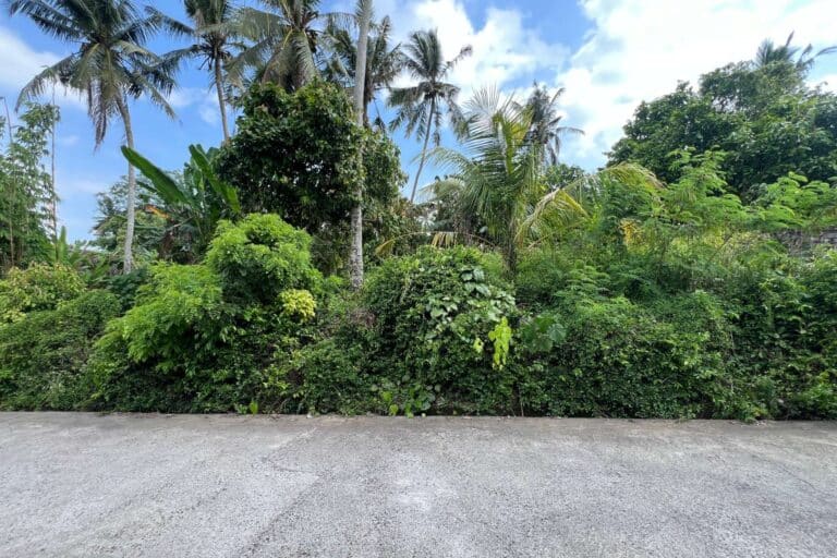 1050-sqm-land-in-sudimara-10