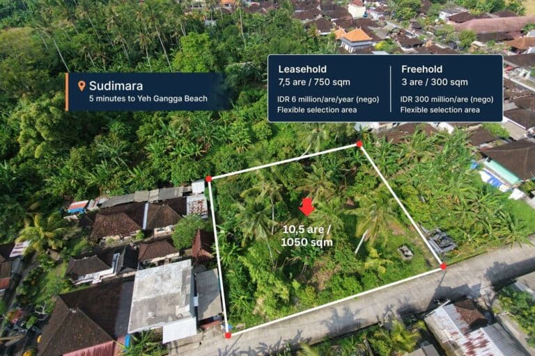 1050-sqm-land-in-sudimara-4