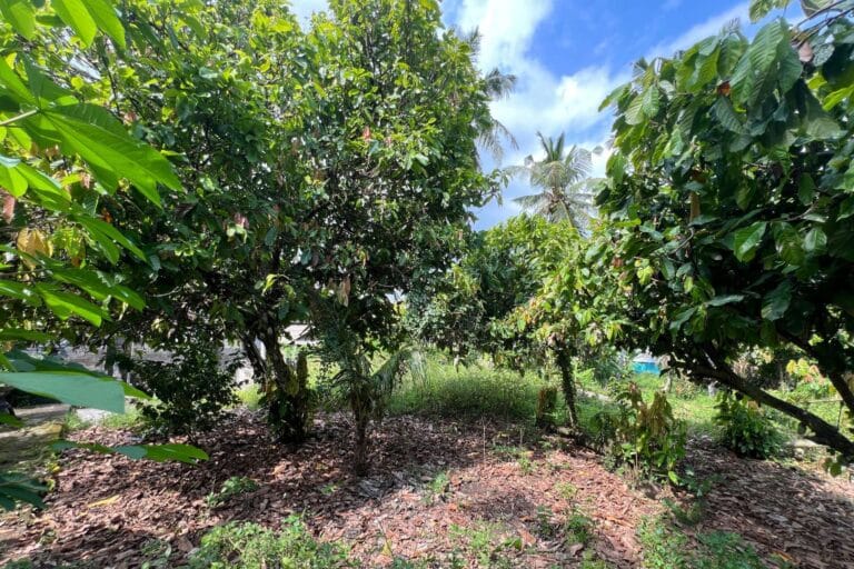 1050-sqm-land-in-sudimara-7