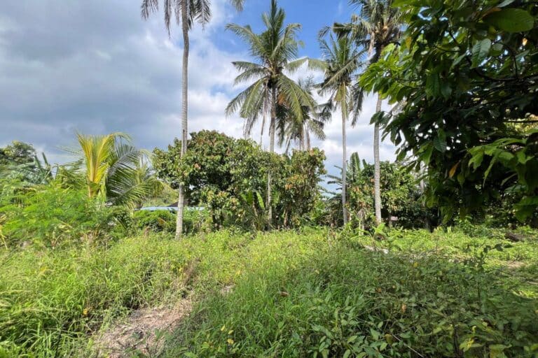 1050-sqm-land-in-sudimara-8