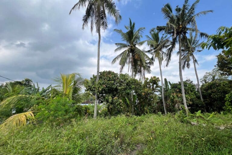 1050-sqm-land-in-sudimara-9