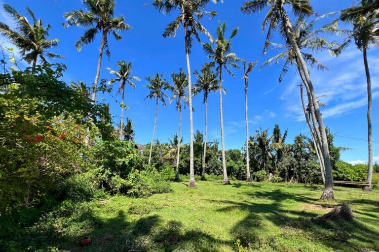 800-sqm-land-batu-tampih-10