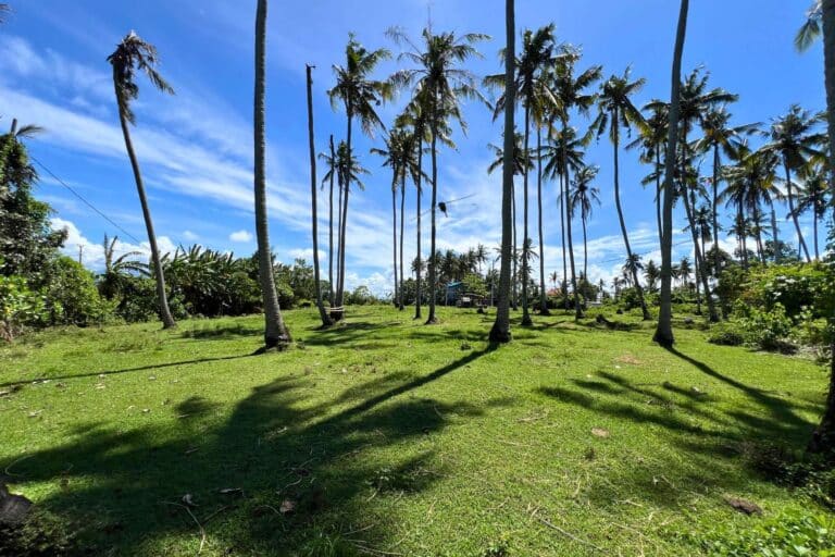 800-sqm-land-batu-tampih-11