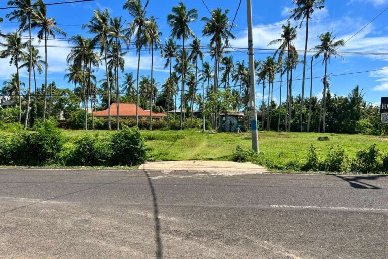 800-sqm-land-batu-tampih-6