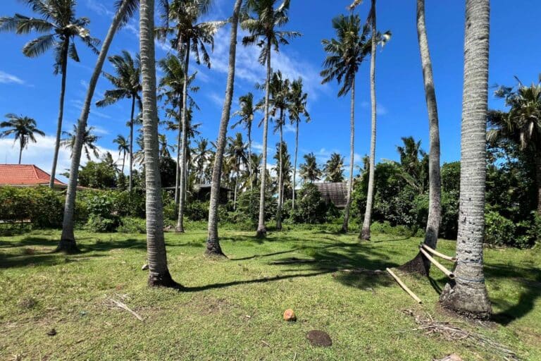 800-sqm-land-batu-tampih-7