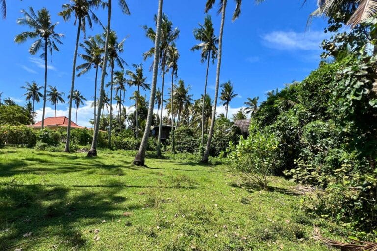 800-sqm-land-batu-tampih-8