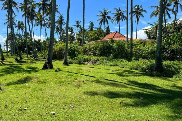 800-sqm-land-batu-tampih-9