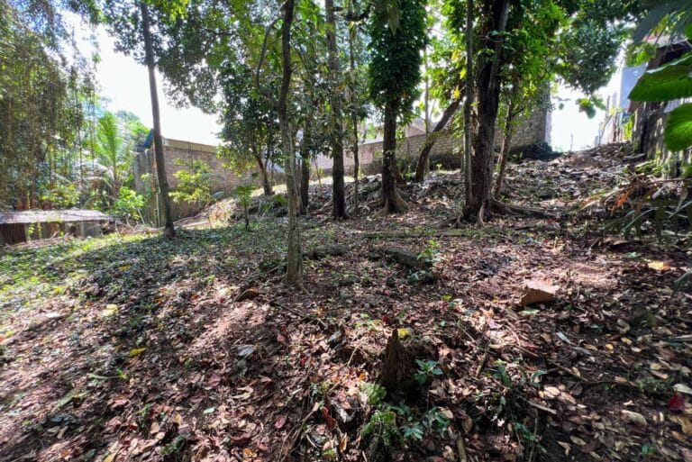 12-are-land-in-nyambu-for-leasehold-10