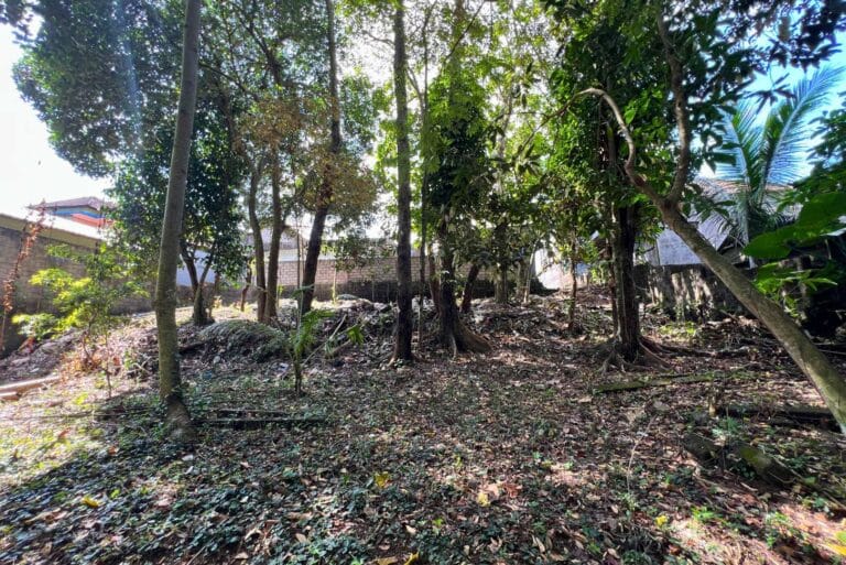 12-are-land-in-nyambu-for-leasehold-11