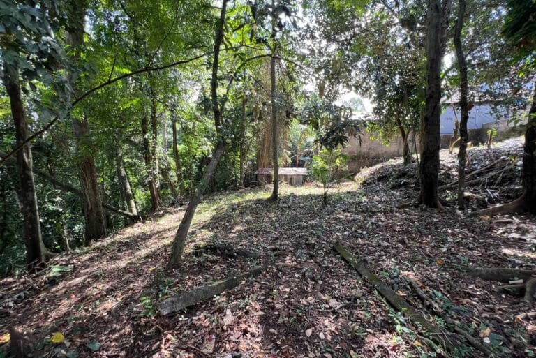 12-are-land-in-nyambu-for-leasehold-13