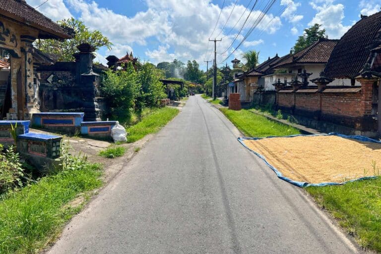 12-are-land-in-nyambu-for-leasehold-15