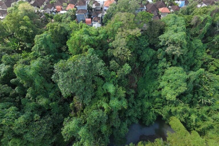 12-are-land-in-nyambu-for-leasehold-4