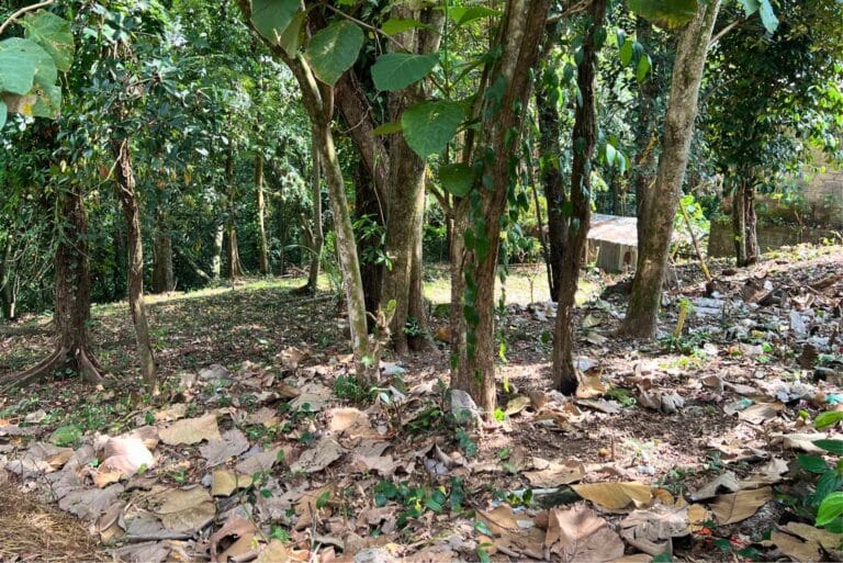 12-are-land-in-nyambu-for-leasehold-6