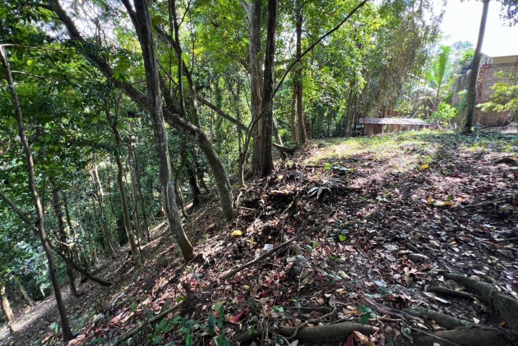 12-are-land-in-nyambu-for-leasehold-7