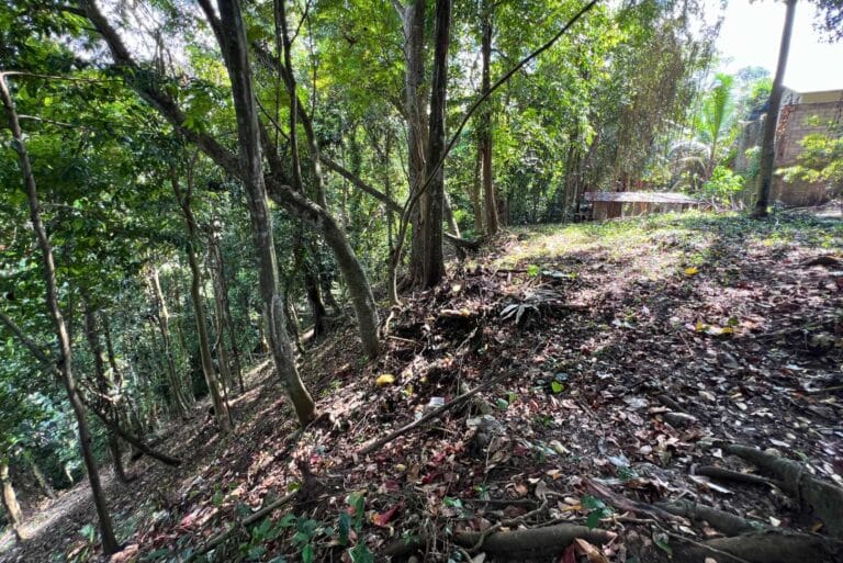 12-are-land-in-nyambu-for-leasehold-7