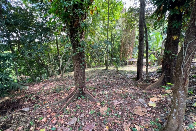 12-are-land-in-nyambu-for-leasehold-8