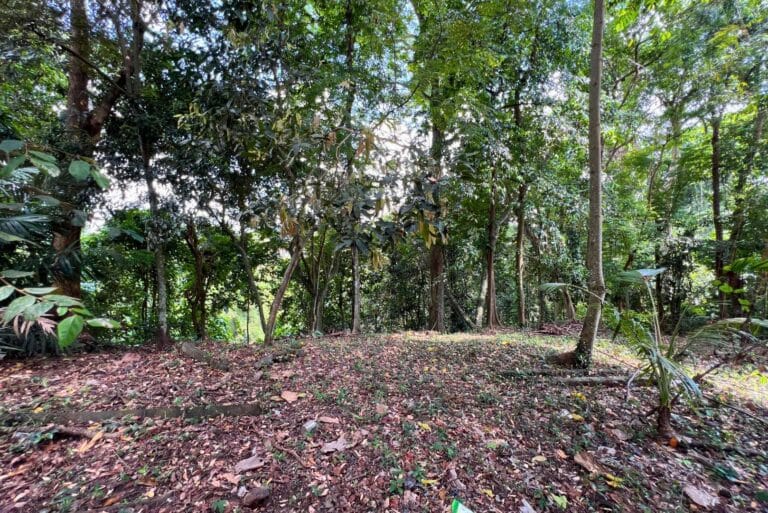 12-are-land-in-nyambu-for-leasehold-9