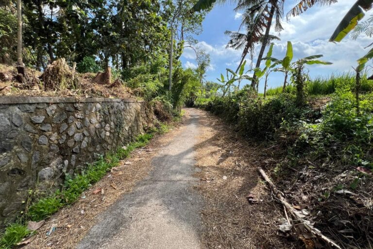 1700-sqm-land-in-sudimara-for-sale-13