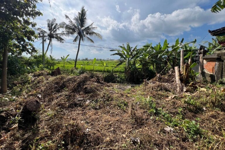 1700-sqm-land-in-sudimara-for-sale-14