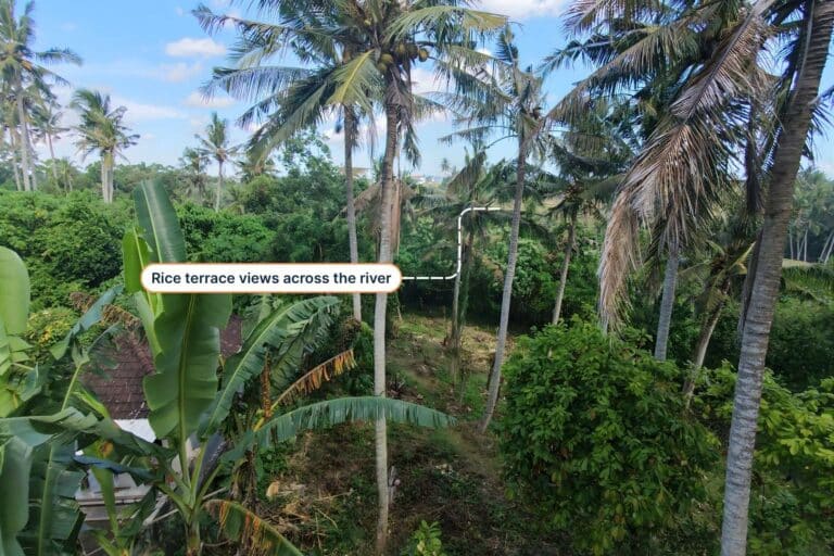 1700-sqm-land-in-sudimara-for-sale-3