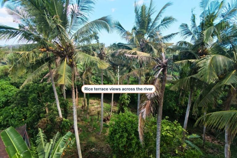 1700-sqm-land-in-sudimara-for-sale-4