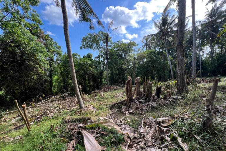 1700-sqm-land-in-sudimara-for-sale-5