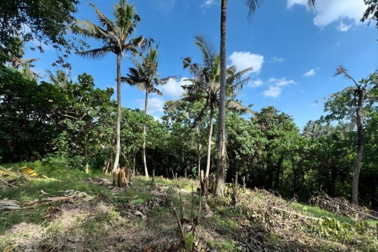 1700-sqm-land-in-sudimara-for-sale-6