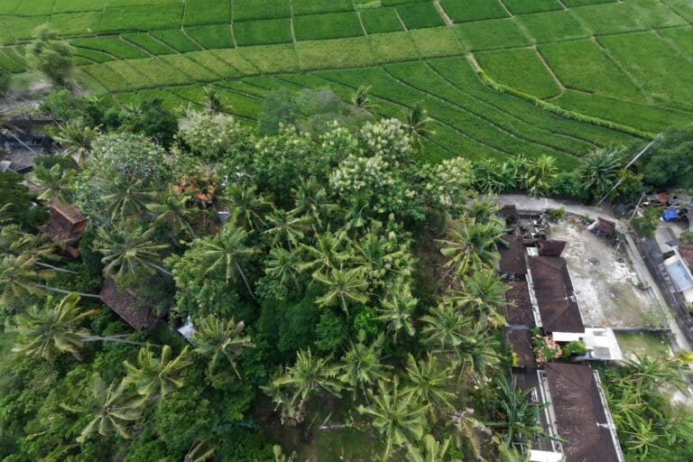 1700-sqm-land-in-sudimara-for-sale-9