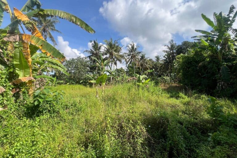 27-are-land-in-gubug-for-leasehold-10