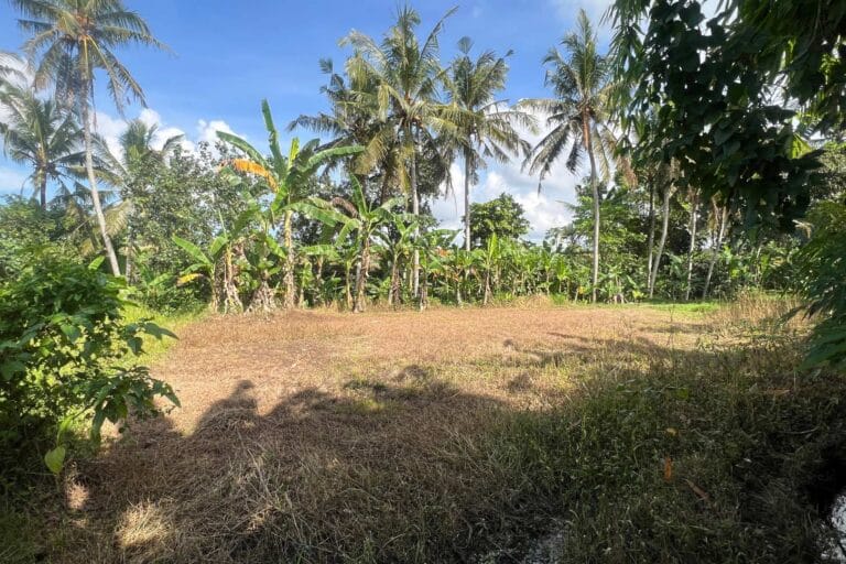 27-are-land-in-gubug-for-leasehold-11