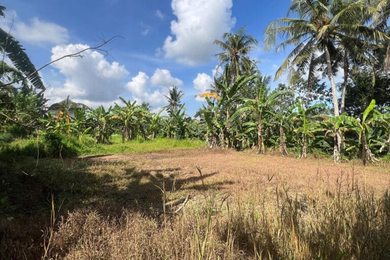 27-are-land-in-gubug-for-leasehold-12