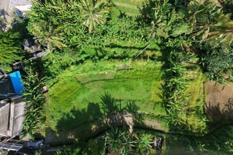 27-are-land-in-gubug-for-leasehold-5