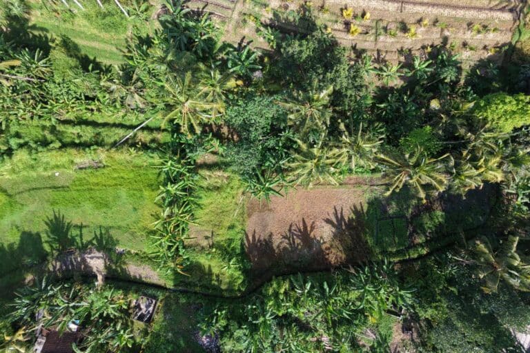 27-are-land-in-gubug-for-leasehold-6