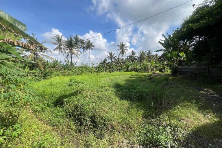 27-are-land-in-gubug-for-leasehold-7