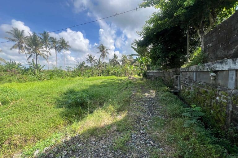 27-are-land-in-gubug-for-leasehold-8