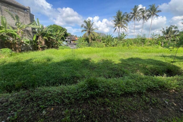 27-are-land-in-gubug-for-leasehold-9