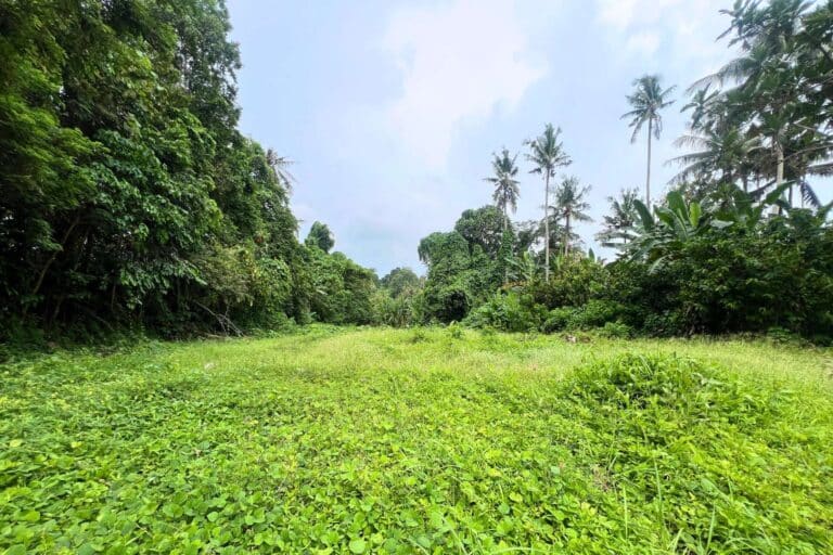 650-sqm-land-in-sudimara-for-sale-10