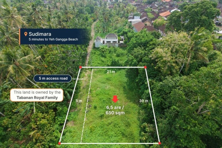 650-sqm-land-in-sudimara-for-sale-3
