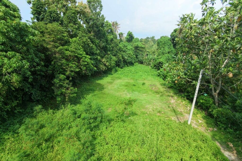 650-sqm-land-in-sudimara-for-sale-5